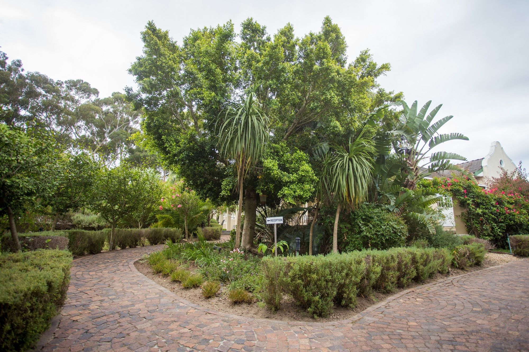 Somerset Villa Guesthouse Somerset West Exteriér fotografie
